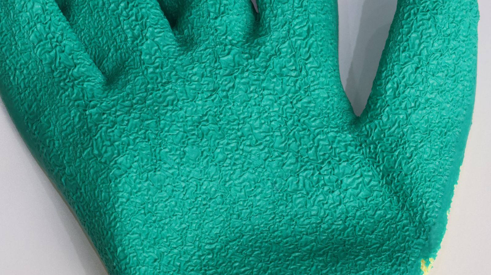 Textured latex coating close-up